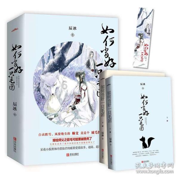 探索现在为什么考公务员的人那么多?,共享知识的星球平台